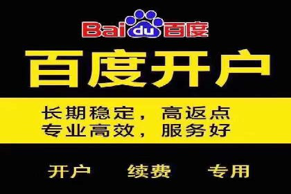 百度竞价包年推广成功案例展示